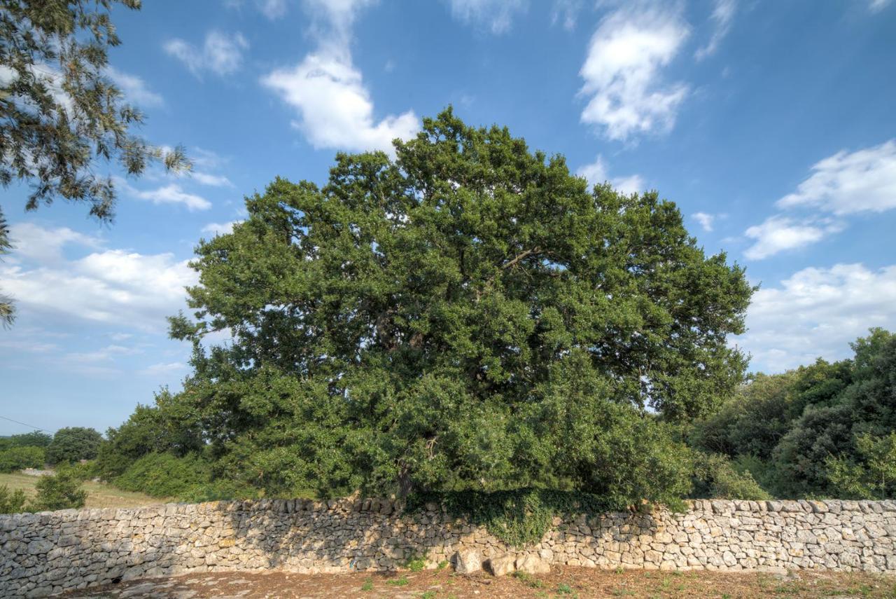 Trulli Capo Di Lupo By Rentbeat Cisternino Exterior foto